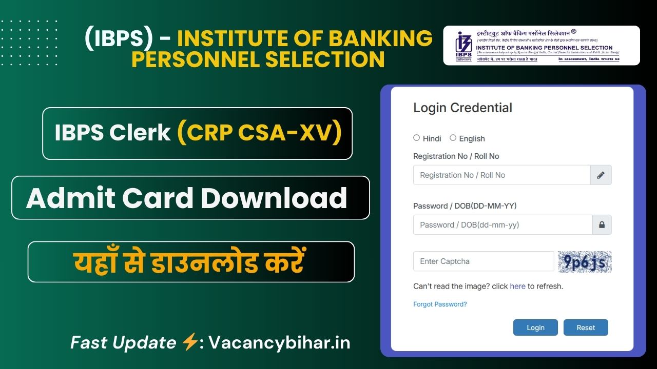 IBPS Clerk Admit Card 2025