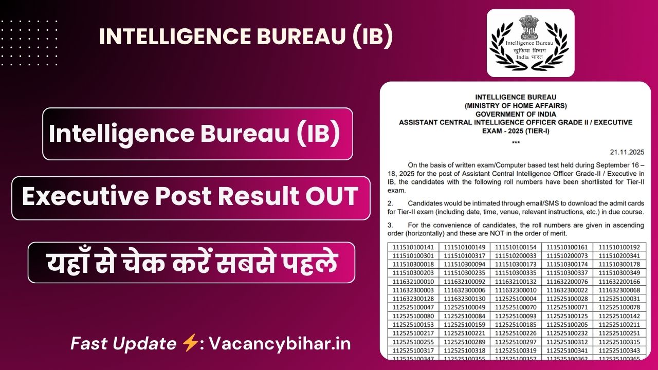 IB Executive Result 2025