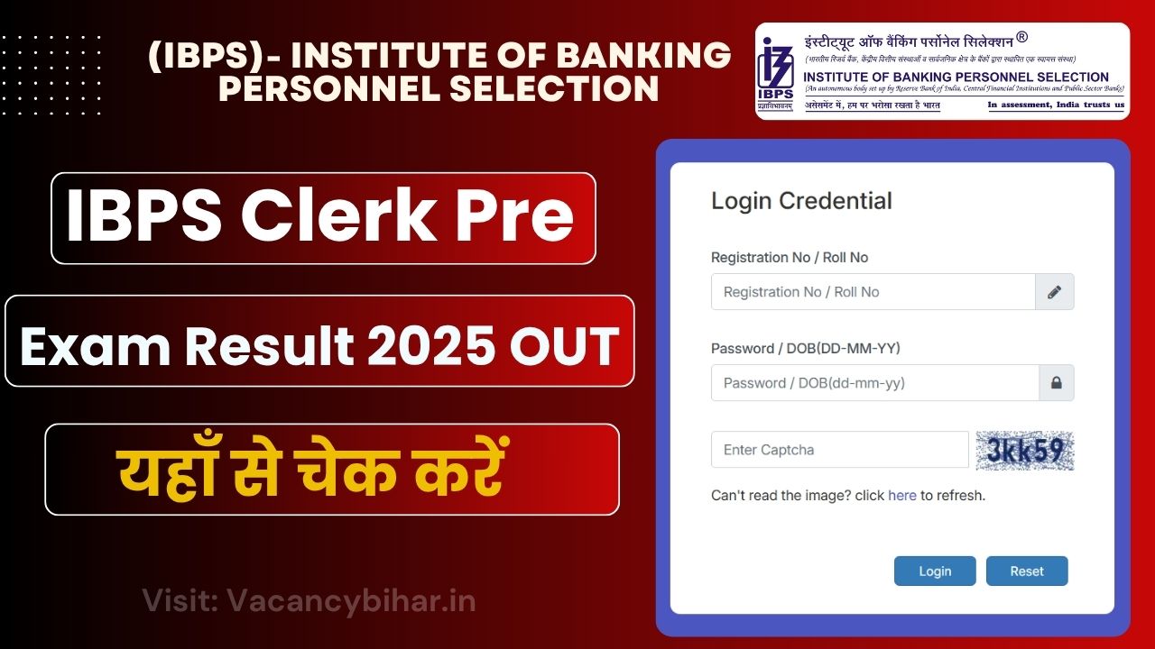 IBPS Clerk Pre Exam Result 2025